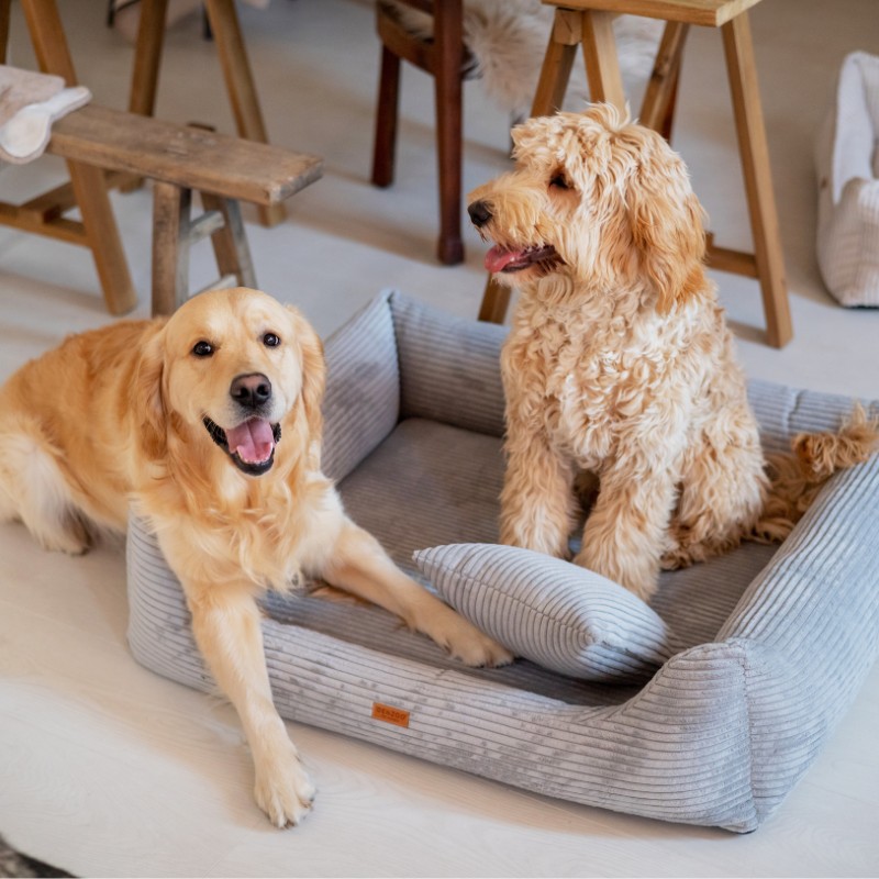 Denzoo hondenmanden Orthopedische Hondenmand Rimini Brede Rib Corduroy & VISCO Memory Foam Orthopedische Hondenmand Rimini Brede Rib Corduroy & VISCO Memory Foam - Afbeelding 32