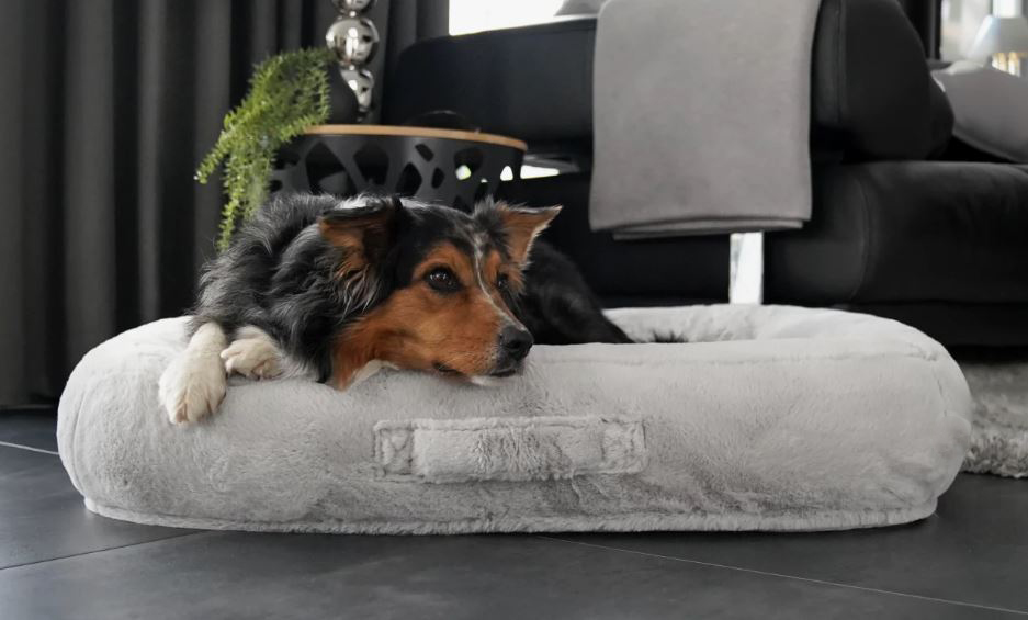 Grote hondenmand Hondenbed Teddy Lichtgrijs – Luxe Hondenmand met Zachte Pluche – Orthopedisch Optioneel – Wasbaar op 30°C Hondenbed Teddy Lichtgrijs – Luxe Hondenmand met Zachte Pluche – Orthopedisch Optioneel – Wasbaar op 30°C - Afbeelding 4