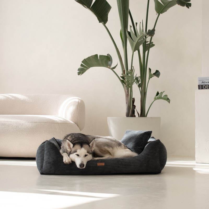 Denzoo hondenmanden Orthopedische Hondenmand Rimini Brede Rib Corduroy & VISCO Memory Foam Orthopedische Hondenmand Rimini Brede Rib Corduroy & VISCO Memory Foam - Afbeelding 13