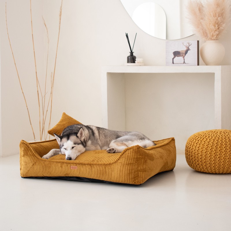 Denzoo Orthopedische Hondenmanden Orthopedische Hondenmand Milano Ribbed Mosterd – Visco Memory Foam – Luxe & Wasbaar Orthopedische Hondenmand Milano Ribbed Mosterd – Visco Memory Foam – Luxe & Wasbaar - Afbeelding 6