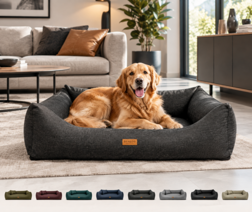Grote hondenmand Hondenbed Surplus Rotan Bed Luxe Orthopedisch Hondenbed Modena met VISCO MEMORY | Wasbaar