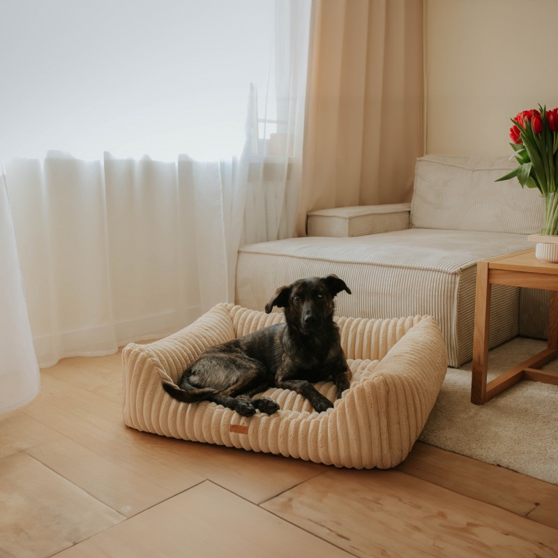 Denzoo hondenmanden Denzoo Palermo – Orthopedische Hondenmand met VISCO Memory Foam Denzoo Palermo – Orthopedische Hondenmand met VISCO Memory Foam - Afbeelding 17