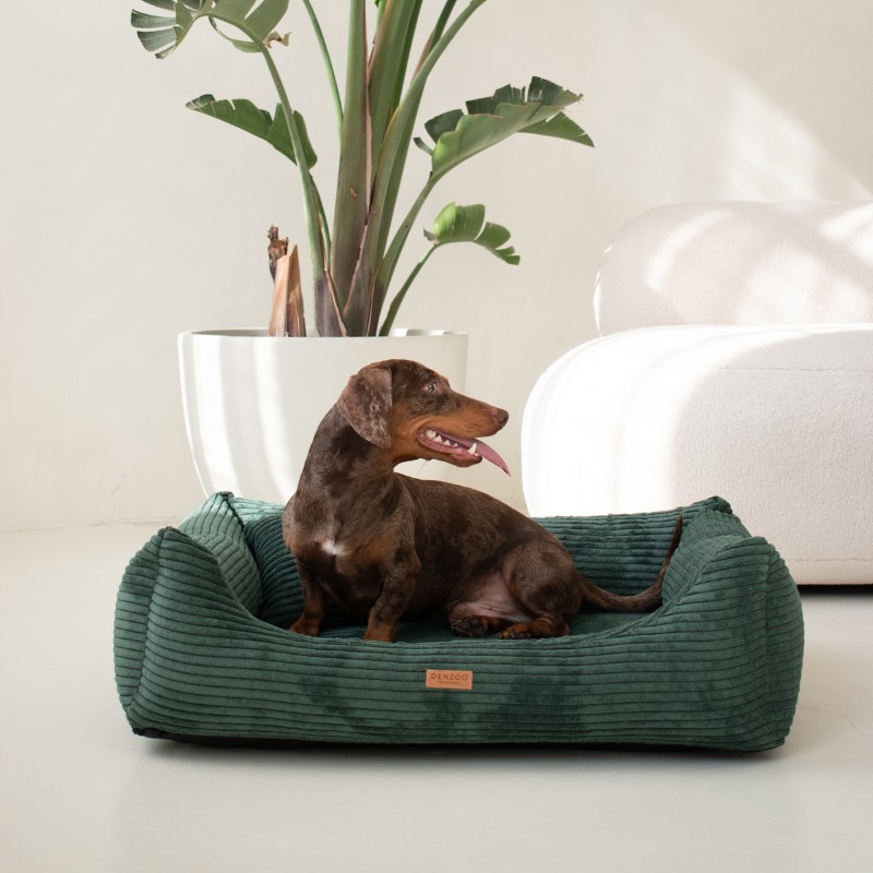 Denzoo hondenmanden Orthopedische Hondenmand Rimini Brede Rib Corduroy & VISCO Memory Foam Orthopedische Hondenmand Rimini Brede Rib Corduroy & VISCO Memory Foam - Afbeelding 39