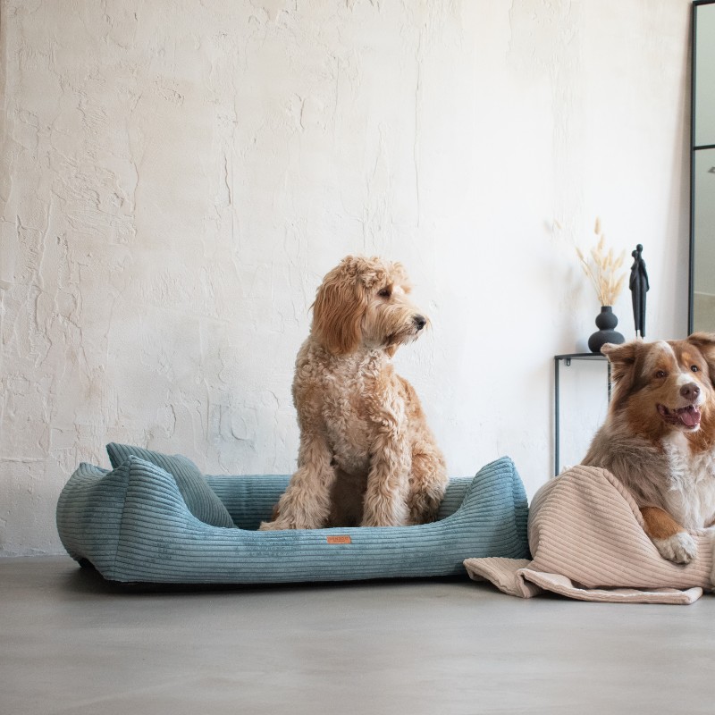 Denzoo hondenmanden Orthopedische Hondenmand Rimini Brede Rib Corduroy & VISCO Memory Foam Orthopedische Hondenmand Rimini Brede Rib Corduroy & VISCO Memory Foam - Afbeelding 49