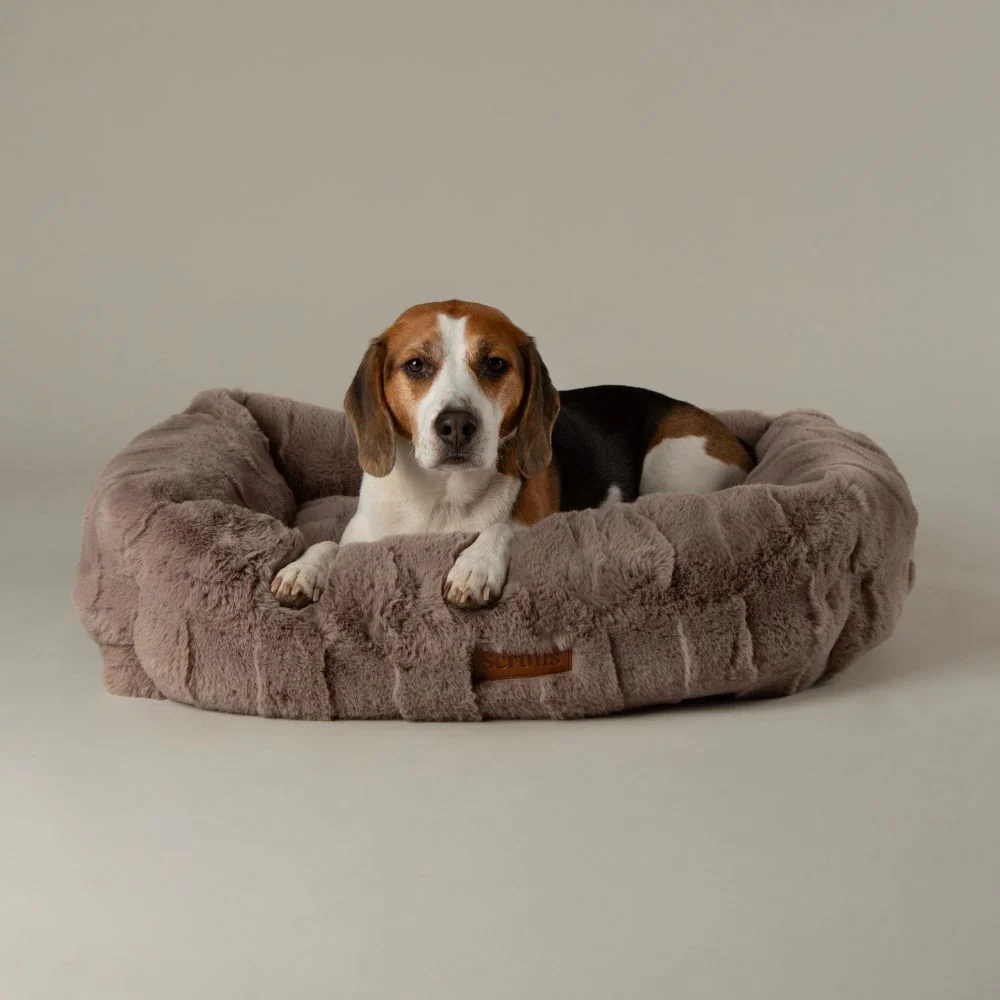 Kleine hondenmand Scruffs Hondenmand Cambridge Box Bed Scruffs Hondenmand Cambridge Box Bed - Afbeelding 2
