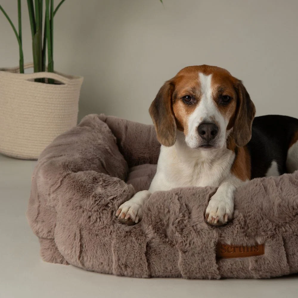 Kleine hondenmand Scruffs Hondenmand Cambridge Box Bed Scruffs Hondenmand Cambridge Box Bed - Afbeelding 3