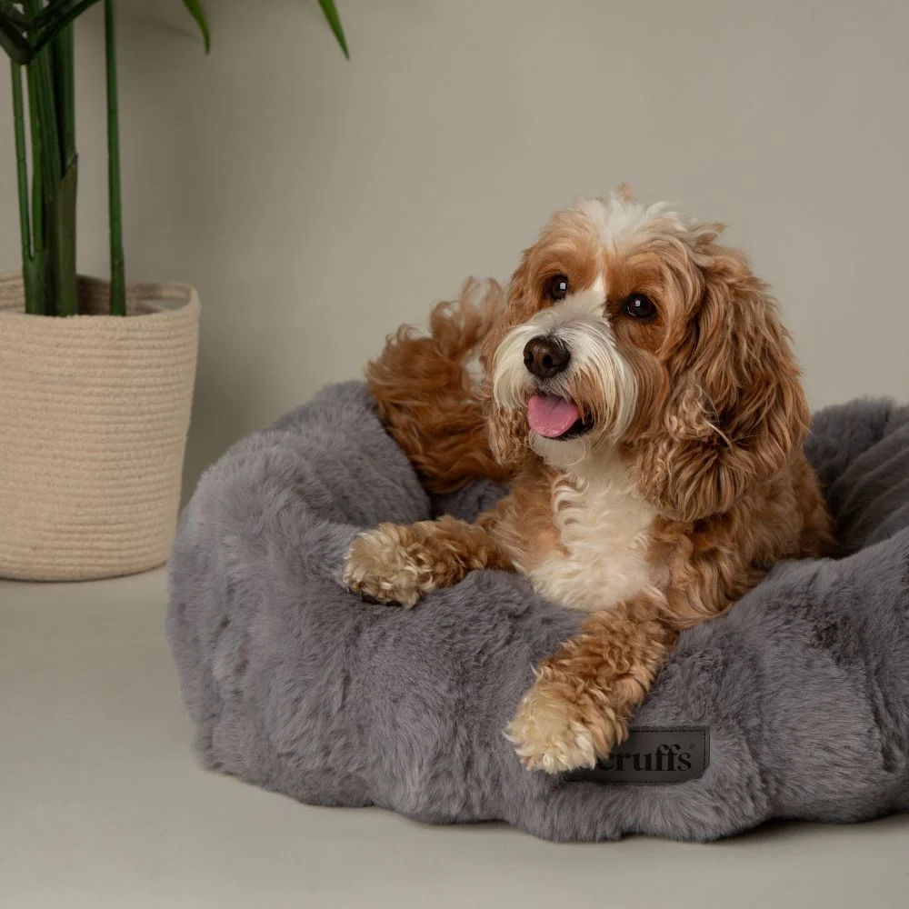 Kleine hondenmand Scruffs Hondenmand Alpine Box Bed Grijs Scruffs Hondenmand Alpine Box Bed Grijs - Afbeelding 3