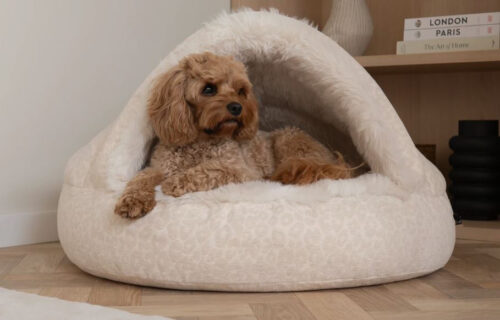 Grote hondenmand Hondenbed Surplus Rotan Bed Hondenmand Snuggle Cave Serengeti Deluxe Crème